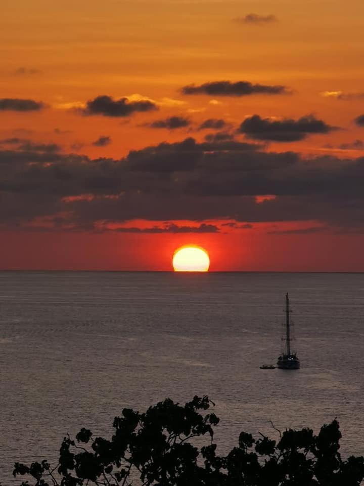 Villa Manolo Ocean And Forest View Hotel Drake Bay Bagian luar foto